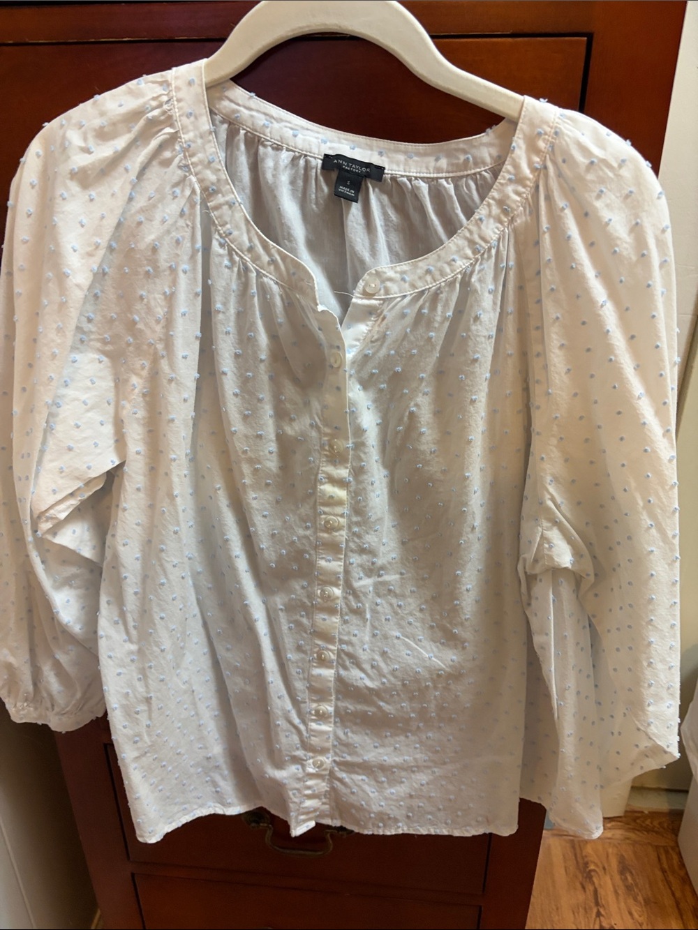Ann Taylor Factory Cream Swiss Dot Button-Up Blouse